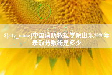 五指山中国消防救援学院山东2020年录取分数线是多少