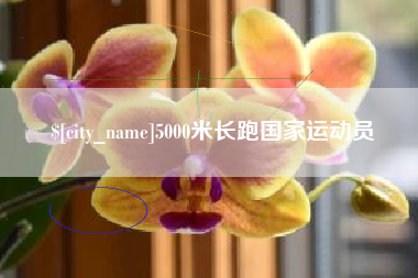 五指山5000米长跑国家运动员