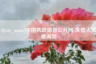 五指山中国执政信息公开网-失信人员查询页