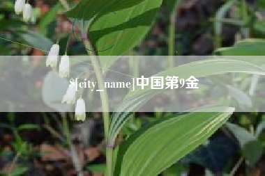五指山中国第9金