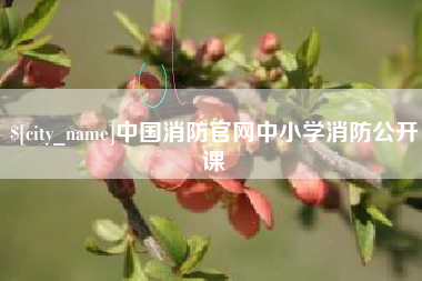 五指山中国消防官网中小学消防公开课