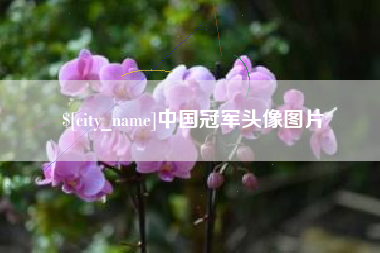 五指山中国冠军头像图片