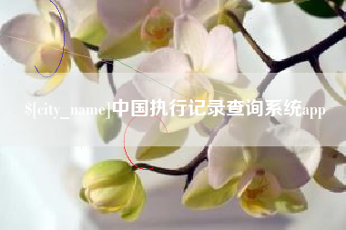 五指山中国执行记录查询系统app