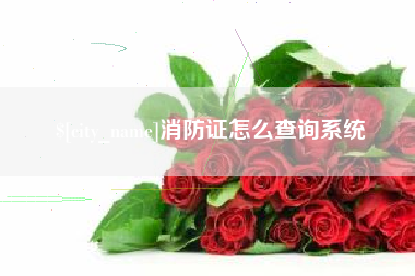 五指山消防证怎么查询系统