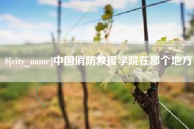五指山中国消防救援学院在那个地方