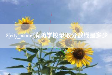 五指山消防学校录取分数线是多少