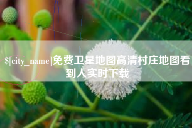 五指山免费卫星地图高清村庄地图看到人实时下载