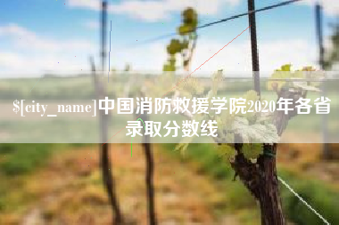 五指山中国消防救援学院2020年各省录取分数线