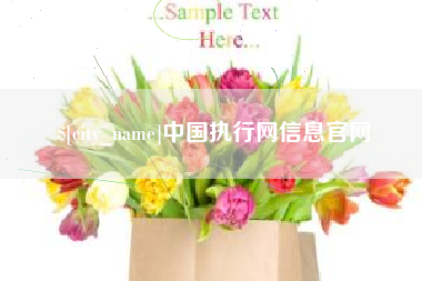 五指山中国执行网信息官网
