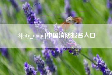 五指山中国消防报名入口