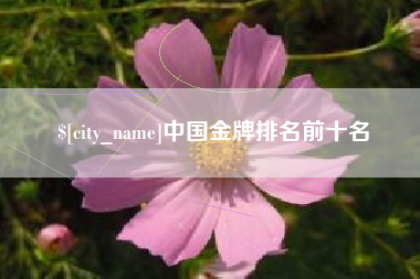 五指山中国金牌排名前十名