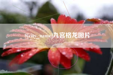 五指山九宫格龙图片
