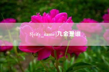 五指山九金是谁