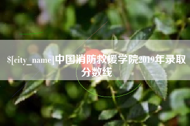 五指山中国消防救援学院2019年录取分数线