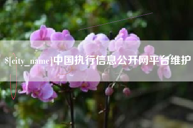 五指山中国执行信息公开网平台维护