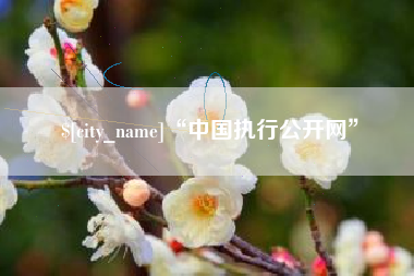 五指山“中国执行公开网”