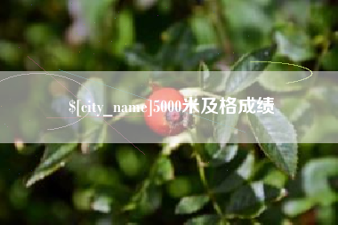 五指山5000米及格成绩