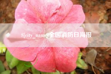 五指山全国消防日海报
