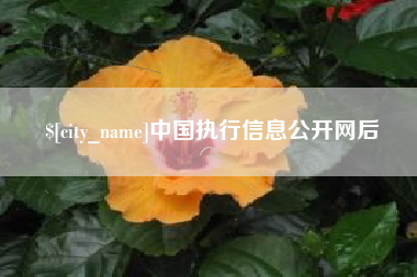 五指山中国执行信息公开网后
