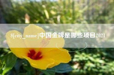 五指山中国金牌是哪些项目2021