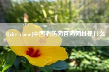 五指山中国消防网官网网址是什么