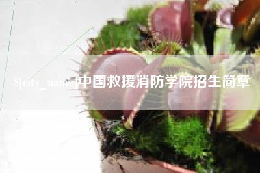 五指山中国救援消防学院招生简章