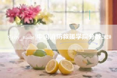 五指山中国消防救援学院分数2020