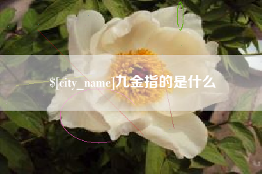 五指山九金指的是什么
