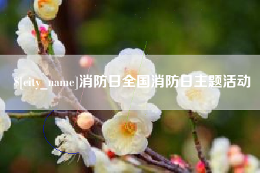 五指山消防日全国消防日主题活动