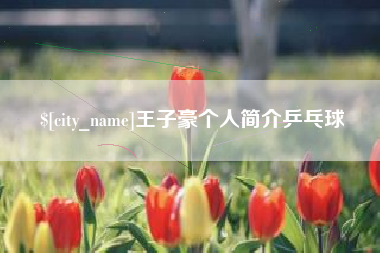 五指山王子豪个人简介乒乓球