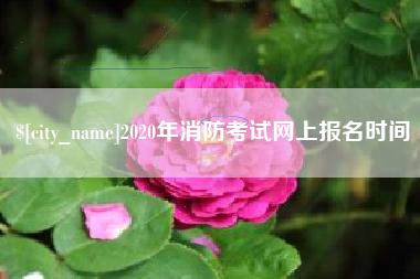 五指山2020年消防考试网上报名时间