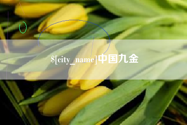 五指山中国九金