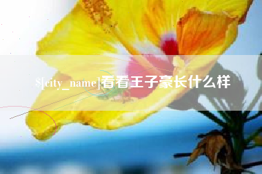 五指山看看王子豪长什么样