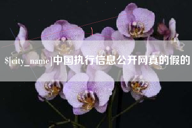 五指山中国执行信息公开网真的假的