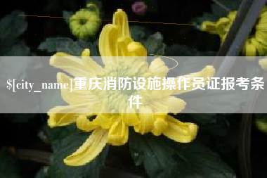五指山重庆消防设施操作员证报考条件
