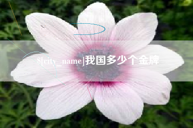 五指山我国多少个金牌