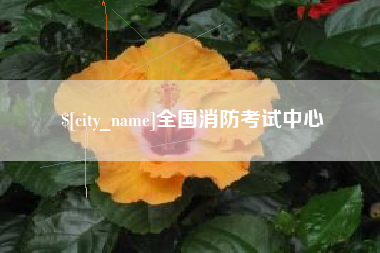 五指山全国消防考试中心