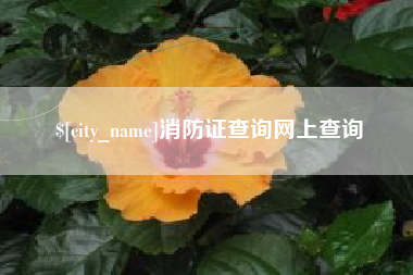 五指山消防证查询网上查询