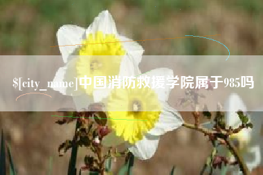 五指山中国消防救援学院属于985吗