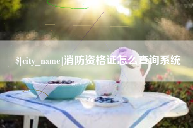 五指山消防资格证怎么查询系统