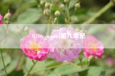 五指山第九金是