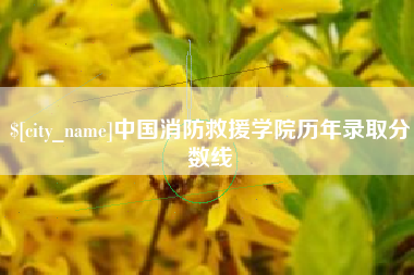 五指山中国消防救援学院历年录取分数线