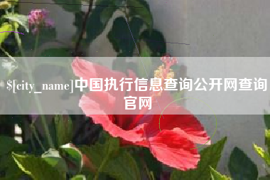 五指山中国执行信息查询公开网查询官网