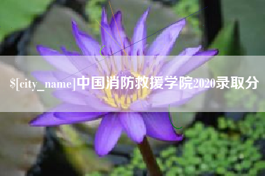 五指山中国消防救援学院2020录取分