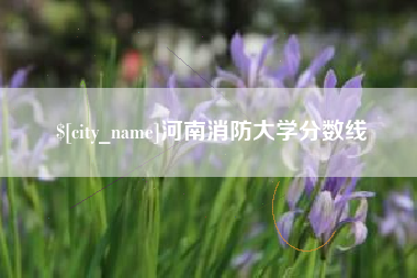 五指山河南消防大学分数线