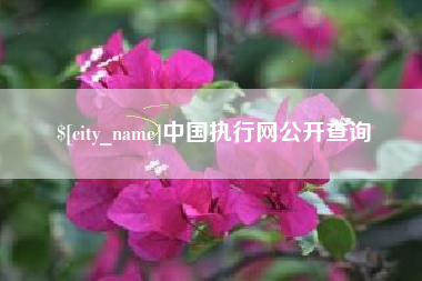 五指山中国执行网公开查询