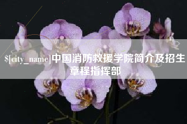 五指山中国消防救援学院简介及招生章程指挥部
