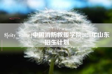 五指山中国消防救援学院2021年山东招生计划