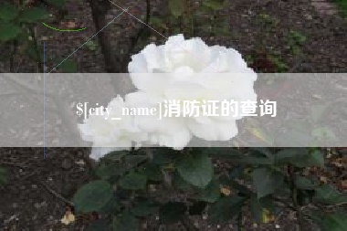 五指山消防证的查询