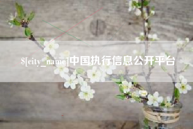 五指山中国执行信息公开平台